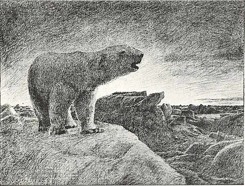 polarbear_nansen