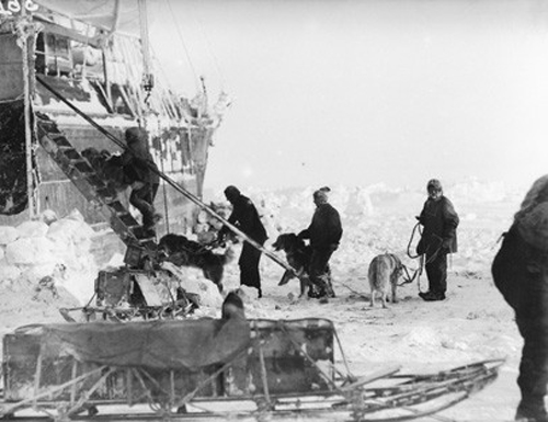 Dog teams returning after exercise